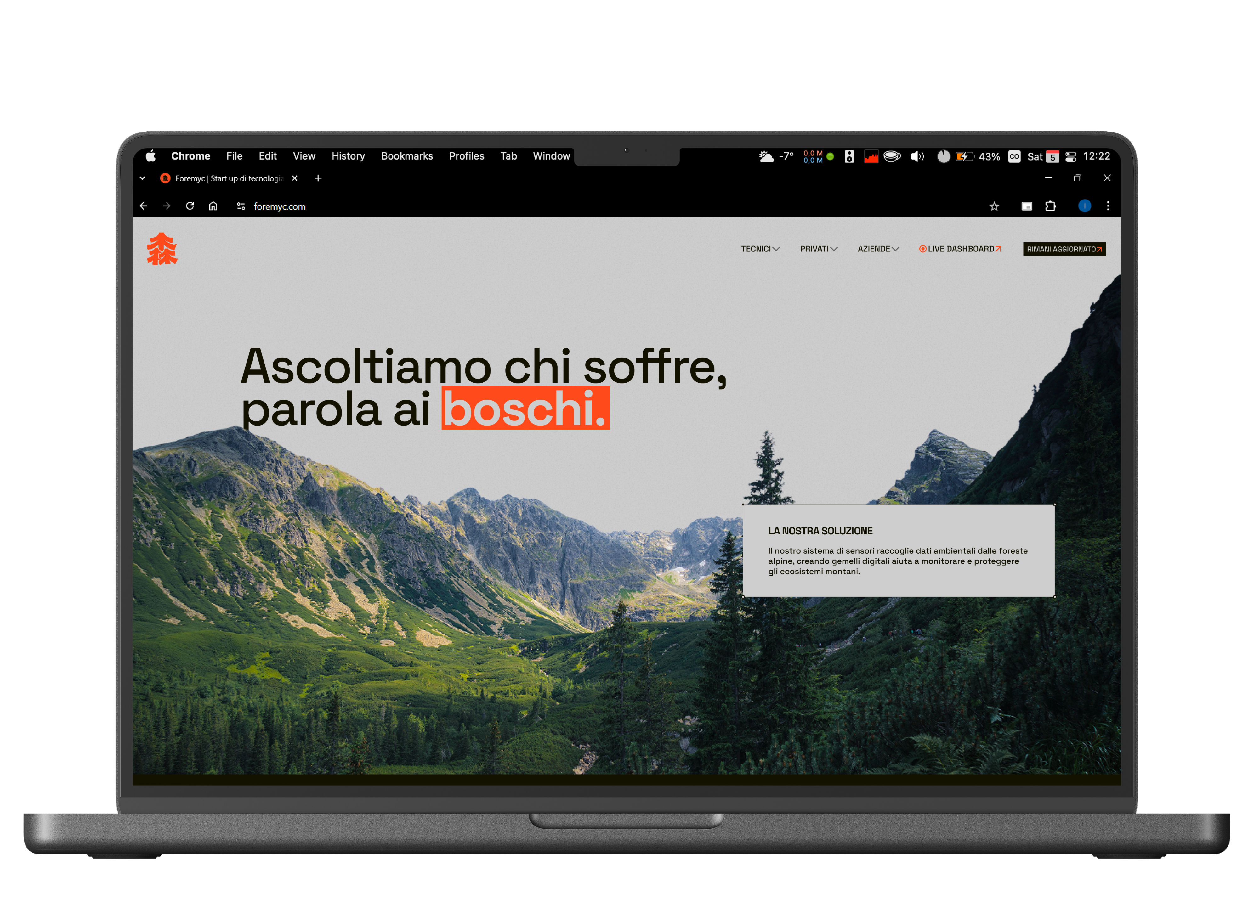 Graphic depicting a hexagonal cropped photo of an interior room design with grid lines along its borders.